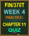 FIN/370T Week 4 Practice: Chapter 11 Quiz